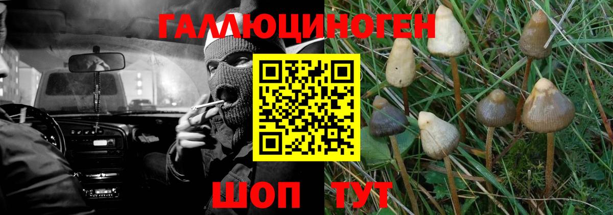 Псилоцибиновые грибы прущие грибы Улан-Удэ