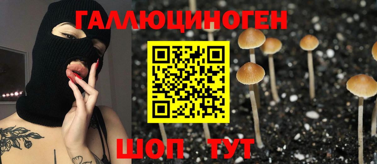 Псилоцибиновые грибы MAGIC MUSHROOMS  Вход с VPN  Улан-Удэ 